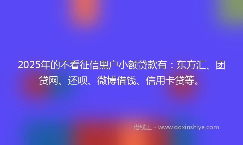 2025年的不看征信黑户小额贷款有：东方汇、团贷网、还呗、微博借钱、信用卡贷等。