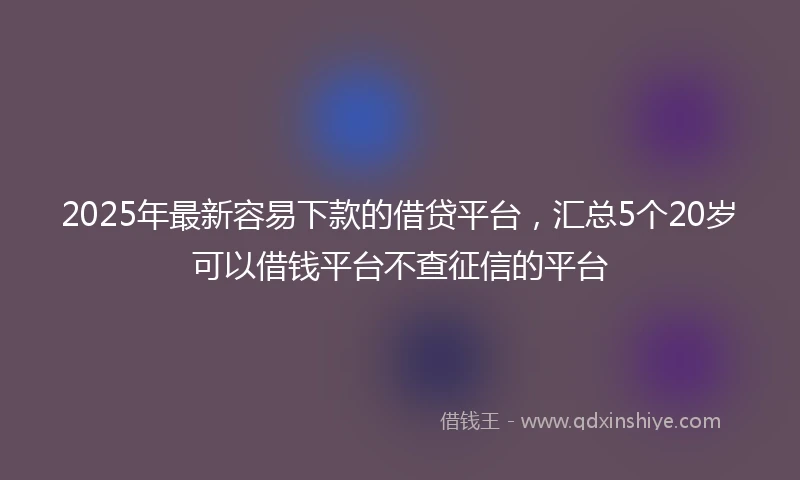2025年最新容易下款的借贷平台，汇总5个20岁可以借钱平台不查征信的平台