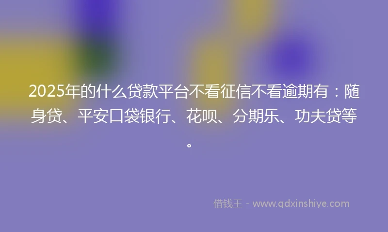 2025年的什么贷款平台不看征信不看逾期有：随身贷、平安口袋银行、花呗、分期乐、功夫贷等。