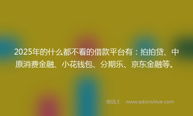 2025年的什么都不看的借款平台有：拍拍贷、中原消费金融、小花钱包、分期乐、京东金融等。