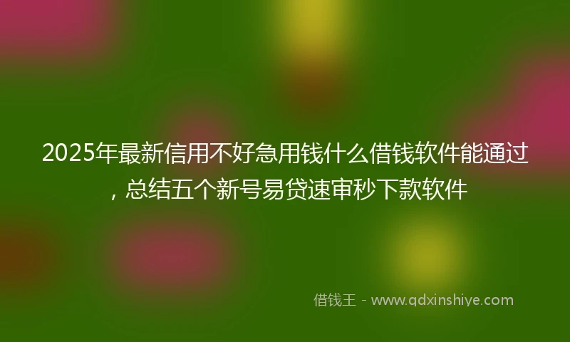 2025年最新信用不好急用钱什么借钱软件能通过，总结五个新号易贷速审秒下款软件