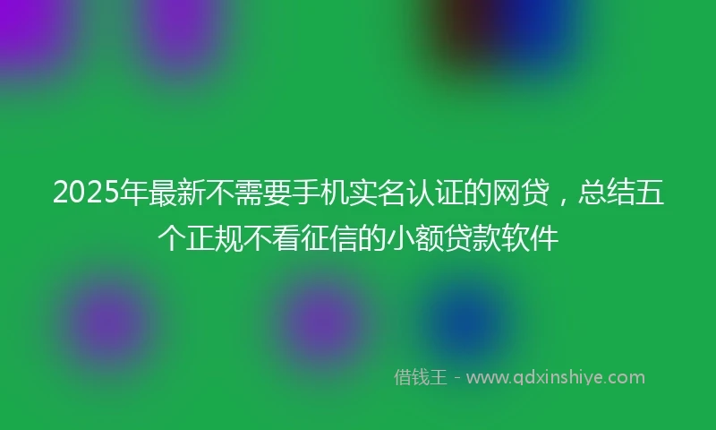 2025年最新不需要手机实名认证的网贷，总结五个正规不看征信的小额贷款软件