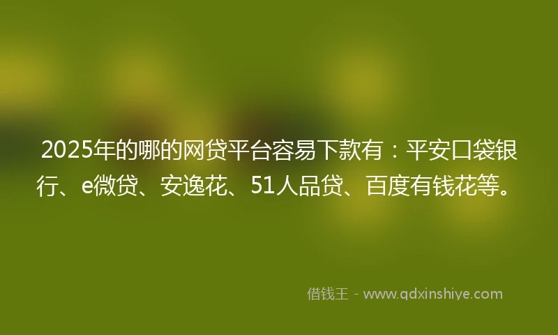 2025年的哪的网贷平台容易下款有：平安口袋银行、e微贷、安逸花、51人品贷、百度有钱花等。