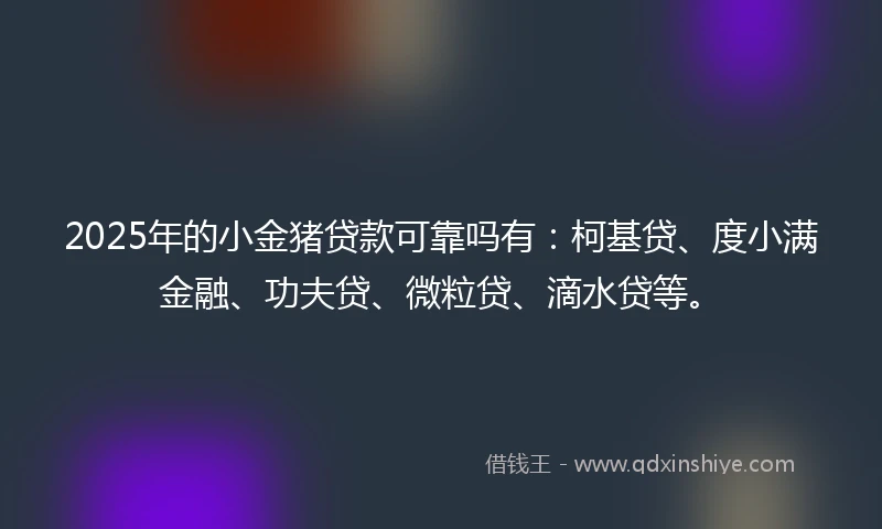 2025年的小金猪贷款可靠吗有：柯基贷、度小满金融、功夫贷、微粒贷、滴水贷等。