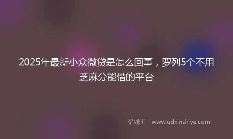 2025年最新小众微贷是怎么回事，罗列5个不用芝麻分能借的平台