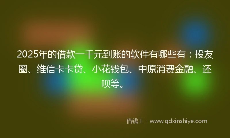2025年的借款一千元到账的软件有哪些有：投友圈、维信卡卡贷、小花钱包、中原消费金融、还呗等。