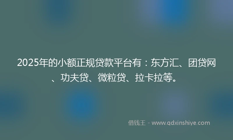 2025年的小额正规贷款平台有：东方汇、团贷网、功夫贷、微粒贷、拉卡拉等。