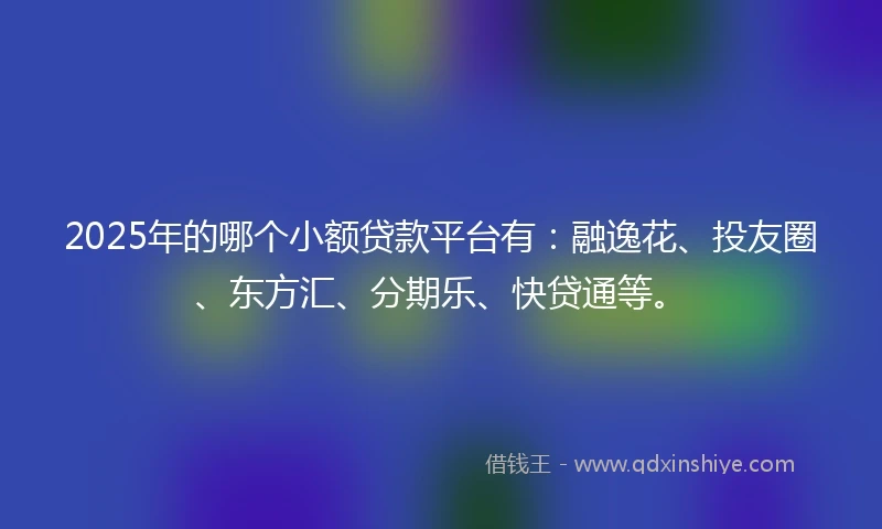 2025年的哪个小额贷款平台有：融逸花、投友圈、东方汇、分期乐、快贷通等。