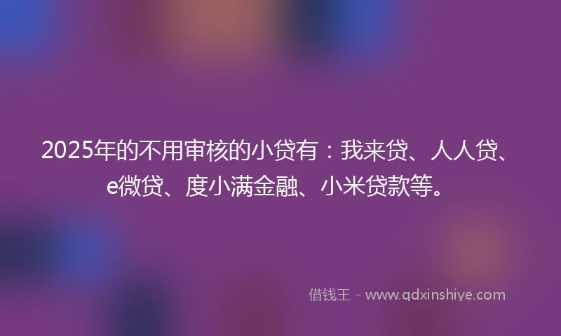 2025年的不用审核的小贷有：我来贷、人人贷、e微贷、度小满金融、小米贷款等。