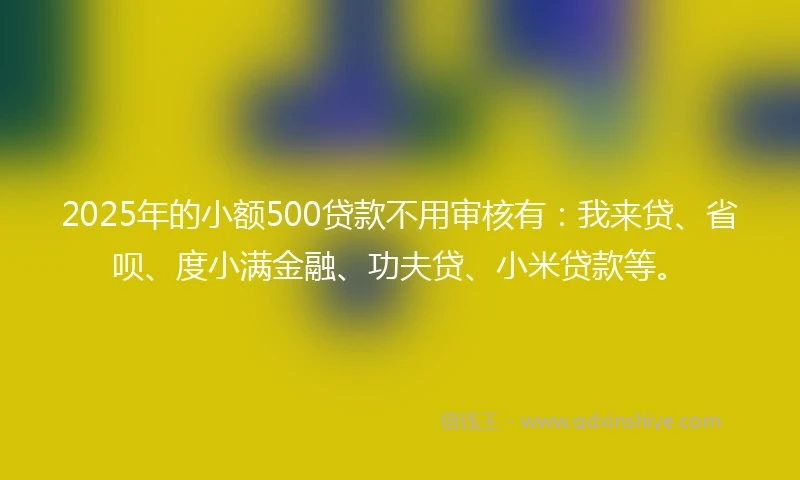 2025年的小额500贷款不用审核有：我来贷、省呗、度小满金融、功夫贷、小米贷款等。