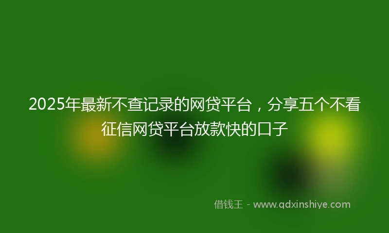 2025年最新不查记录的网贷平台，分享五个不看征信网贷平台放款快的口子
