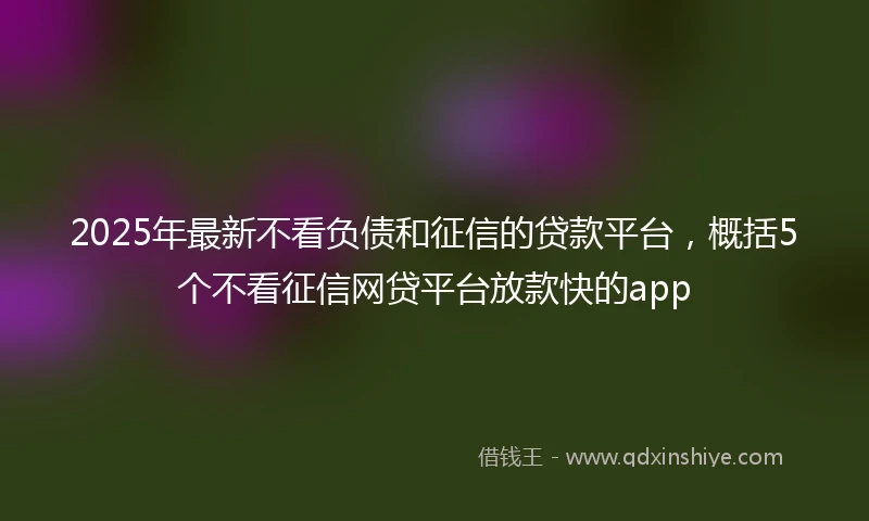 2025年最新不看负债和征信的贷款平台，概括5个不看征信网贷平台放款快的app