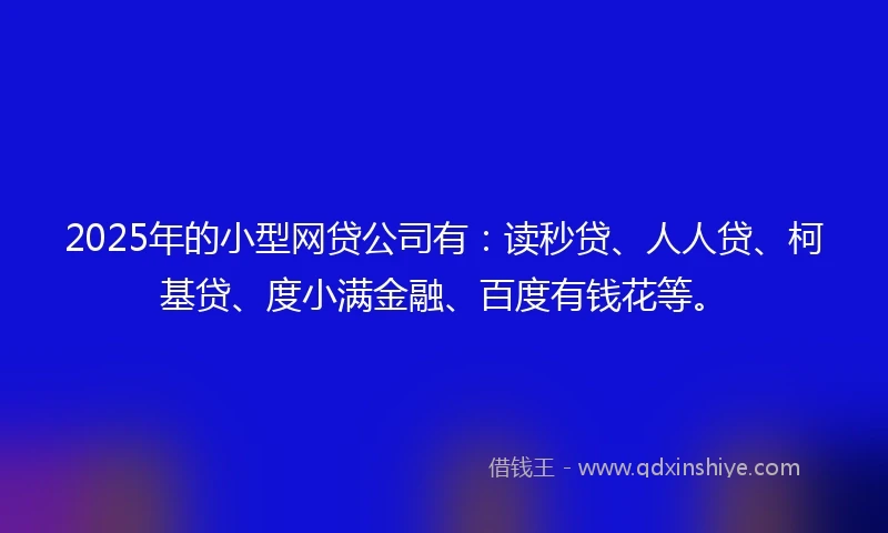 2025年的小型网贷公司有：读秒贷、人人贷、柯基贷、度小满金融、百度有钱花等。