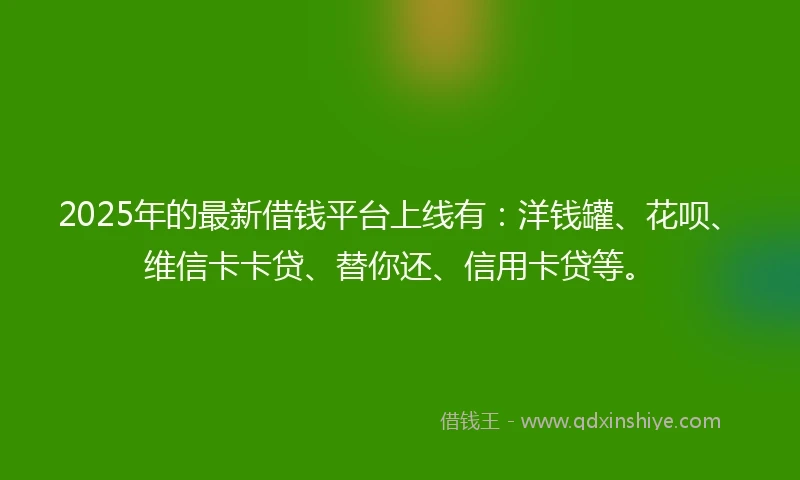 2025年的最新借钱平台上线有：洋钱罐、花呗、维信卡卡贷、替你还、信用卡贷等。