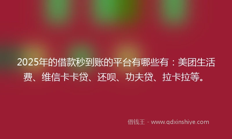 2025年的借款秒到账的平台有哪些有：美团生活费、维信卡卡贷、还呗、功夫贷、拉卡拉等。
