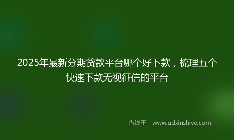 2025年最新分期贷款平台哪个好下款，梳理五个快速下款无视征信的平台