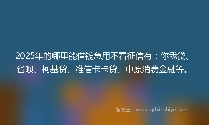2025年的哪里能借钱急用不看征信有：你我贷、省呗、柯基贷、维信卡卡贷、中原消费金融等。