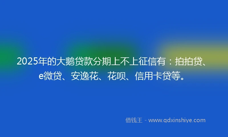 2025年的大鹅贷款分期上不上征信有：拍拍贷、e微贷、安逸花、花呗、信用卡贷等。