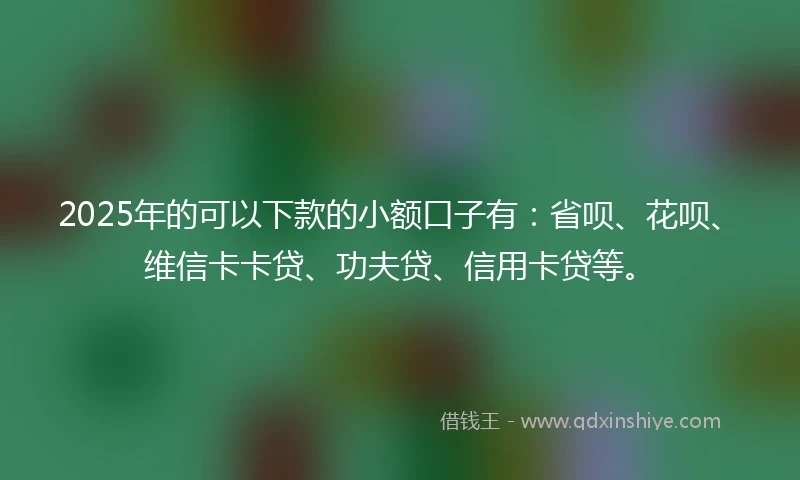 2025年的可以下款的小额口子有：省呗、花呗、维信卡卡贷、功夫贷、信用卡贷等。