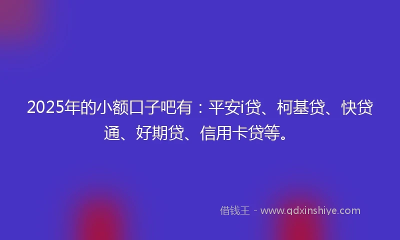 2025年的小额口子吧有：平安i贷、柯基贷、快贷通、好期贷、信用卡贷等。