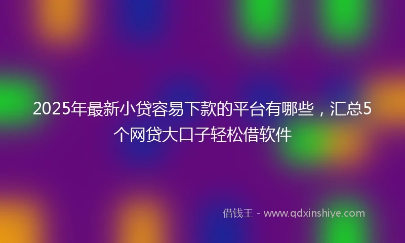 2025年最新小贷容易下款的平台有哪些，汇总5个网贷大口子轻松借软件