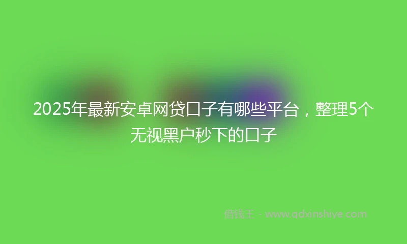2025年最新安卓网贷口子有哪些平台，整理5个无视黑户秒下的口子
