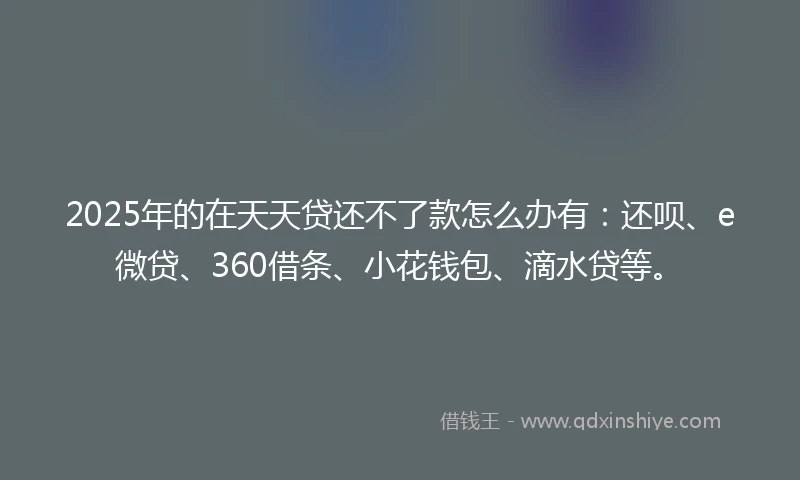 2025年的在天天贷还不了款怎么办有：还呗、e微贷、360借条、小花钱包、滴水贷等。