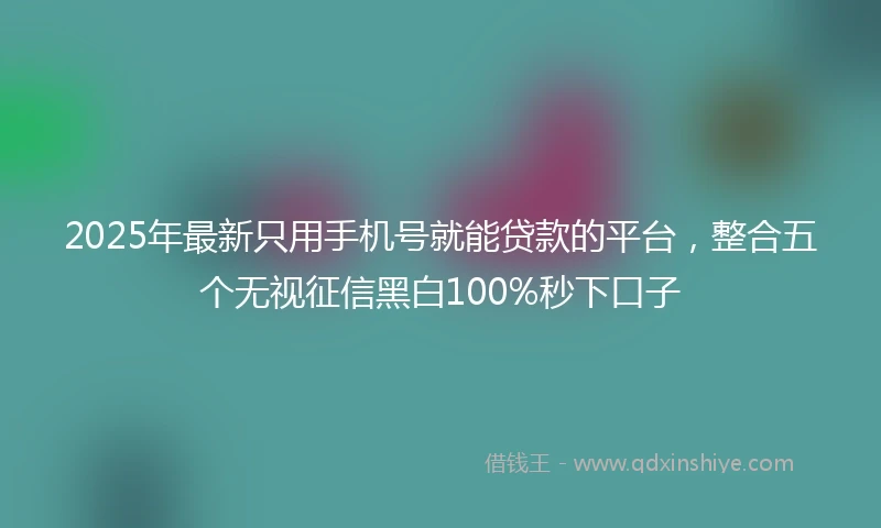 2025年最新只用手机号就能贷款的平台，整合五个无视征信黑白100%秒下口子