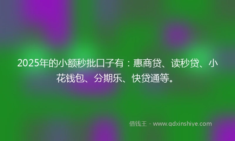 2025年的小额秒批口子有：惠商贷、读秒贷、小花钱包、分期乐、快贷通等。