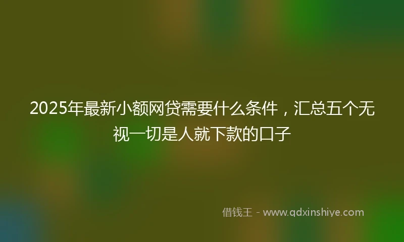 2025年最新小额网贷需要什么条件，汇总五个无视一切是人就下款的口子