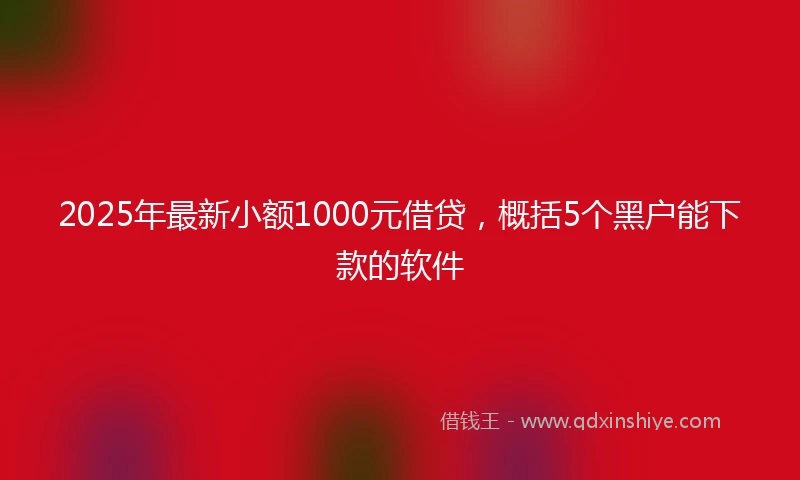 2025年最新小额1000元借贷，概括5个黑户能下款的软件