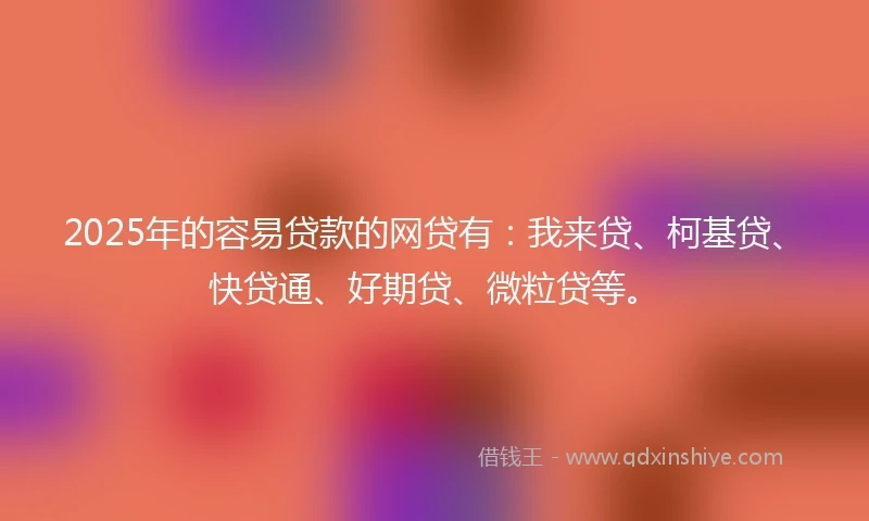 2025年的容易贷款的网贷有：我来贷、柯基贷、快贷通、好期贷、微粒贷等。