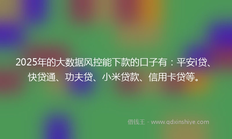2025年的大数据风控能下款的口子有：平安i贷、快贷通、功夫贷、小米贷款、信用卡贷等。
