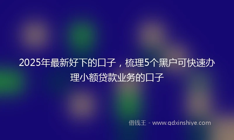2025年最新好下的口子,梳理5个黑户可快速办理小额贷款业务的口子