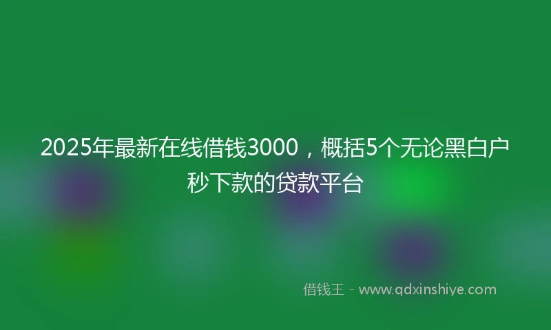 2025年最新在线借钱3000，概括5个无论黑白户秒下款的贷款平台