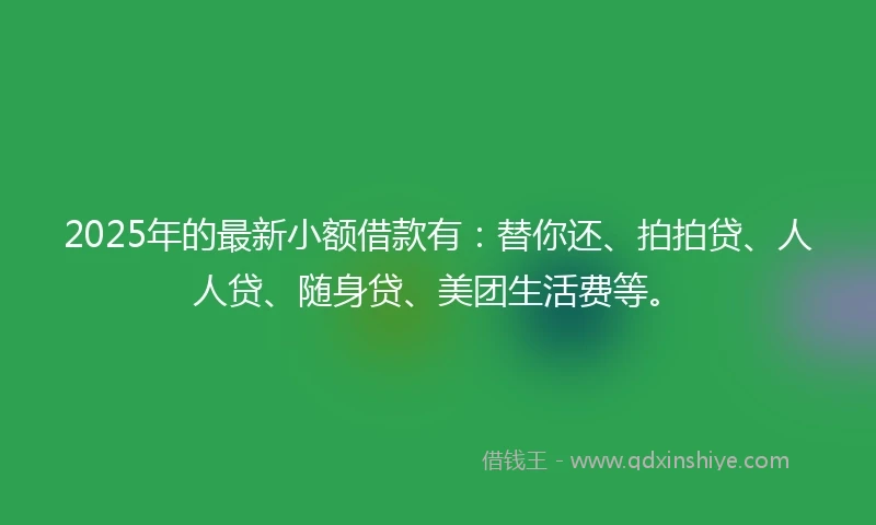 2025年的最新小额借款有：替你还、拍拍贷、人人贷、随身贷、美团生活费等。