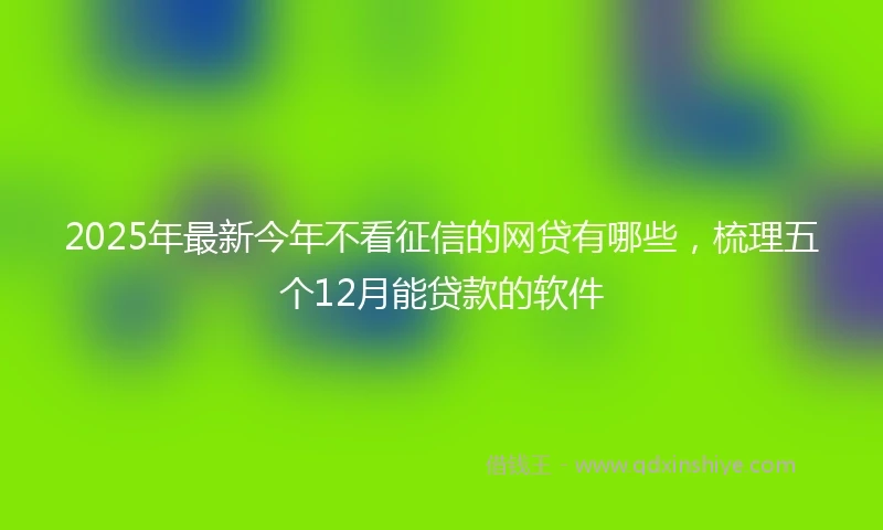 2025年最新今年不看征信的网贷有哪些，梳理五个12月能贷款的软件