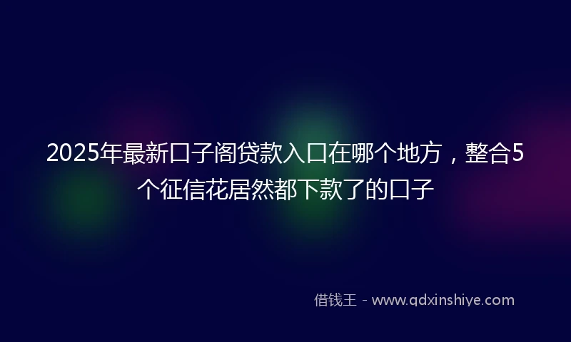 2025年最新口子阁贷款入口在哪个地方，整合5个征信花居然都下款了的口子