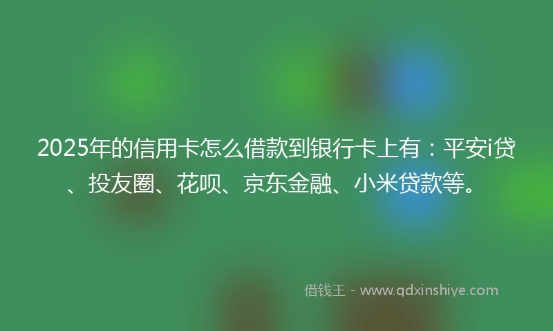 2025年的信用卡怎么借款到银行卡上有：平安i贷、投友圈、花呗、京东金融、小米贷款等。