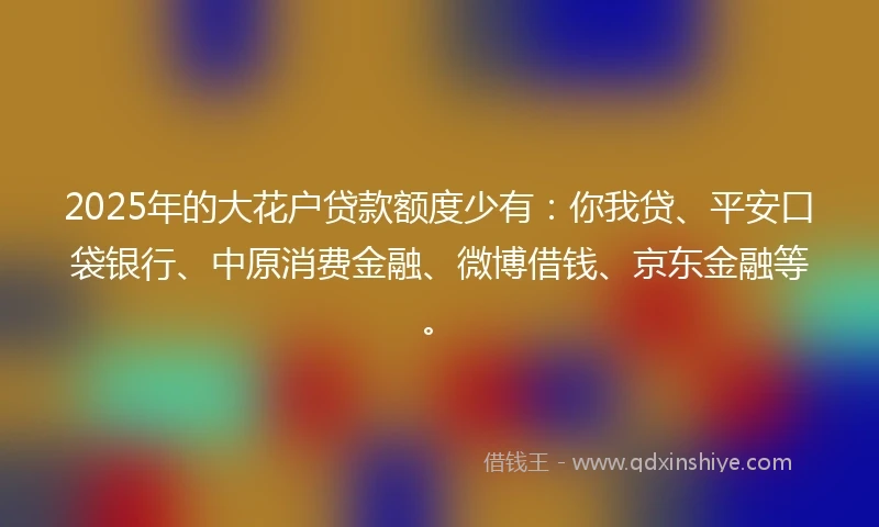 2025年的大花户贷款额度少有：你我贷、平安口袋银行、中原消费金融、微博借钱、京东金融等。