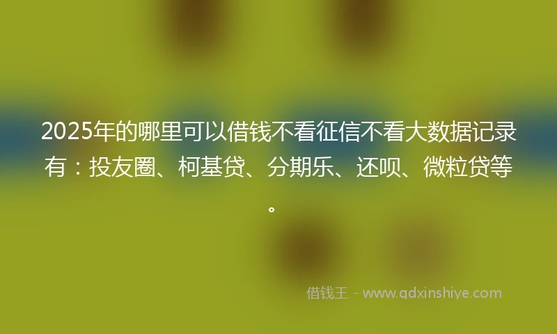 2025年的哪里可以借钱不看征信不看大数据记录有：投友圈、柯基贷、分期乐、还呗、微粒贷等。