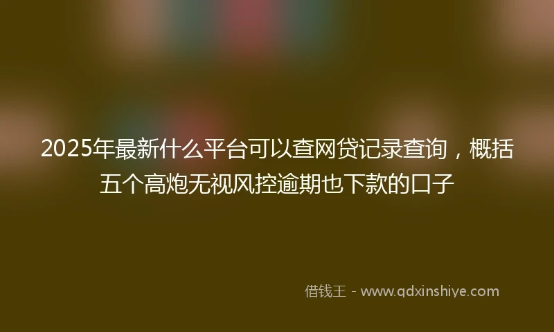 2025年最新什么平台可以查网贷记录查询，概括五个高炮无视风控逾期也下款的口子