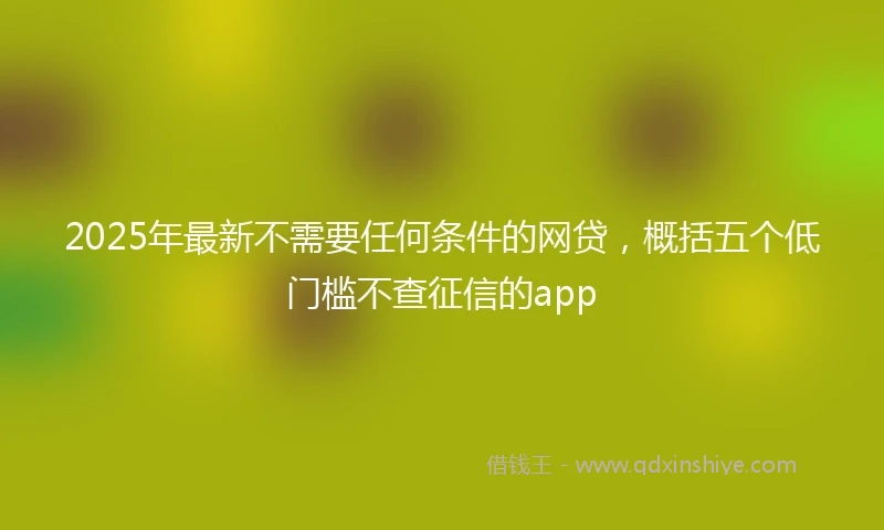 2025年最新不需要任何条件的网贷，概括五个低门槛不查征信的app