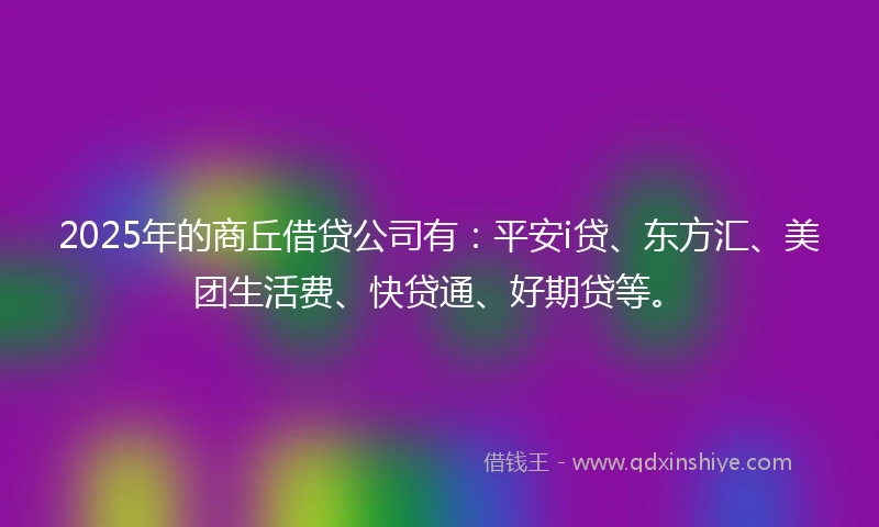 2025年的商丘借贷公司有：平安i贷、东方汇、美团生活费、快贷通、好期贷等。