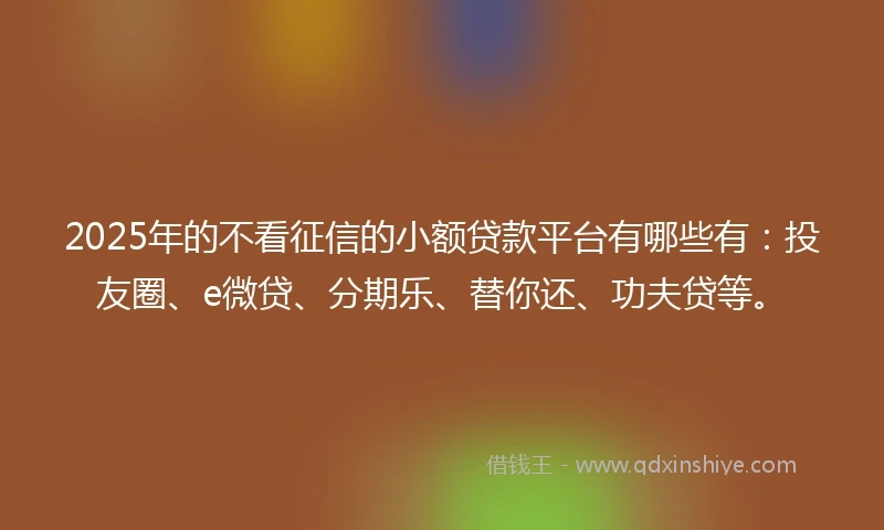 2025年的不看征信的小额贷款平台有哪些有：投友圈、e微贷、分期乐、替你还、功夫贷等。