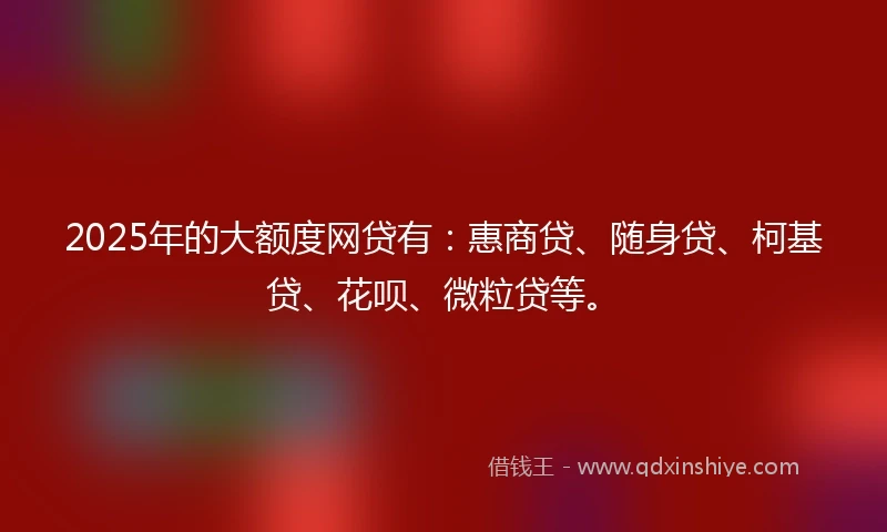 2025年的大额度网贷有：惠商贷、随身贷、柯基贷、花呗、微粒贷等。