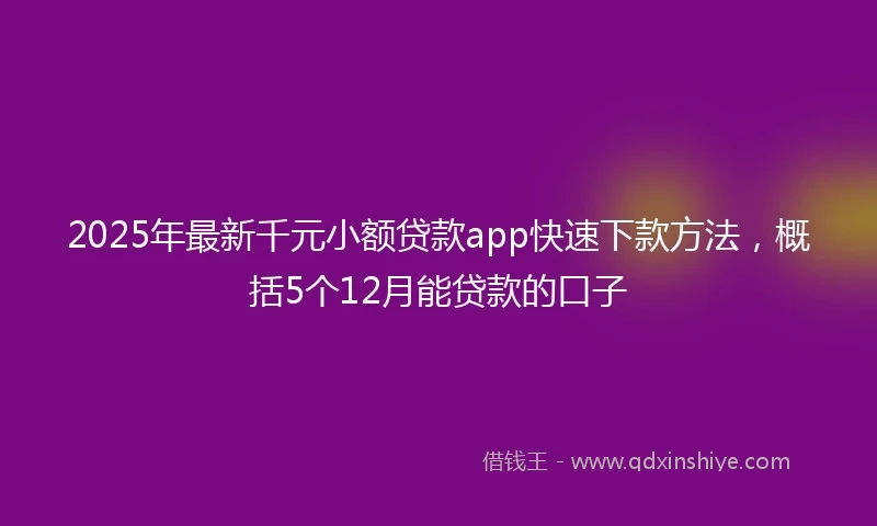 2025年最新千元小额贷款app快速下款方法，概括5个12月能贷款的口子