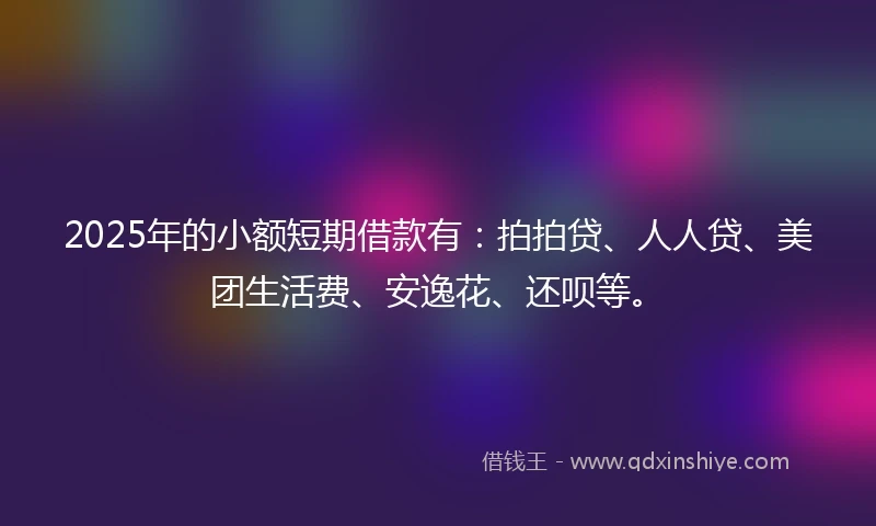 2025年的小额短期借款有：拍拍贷、人人贷、美团生活费、安逸花、还呗等。