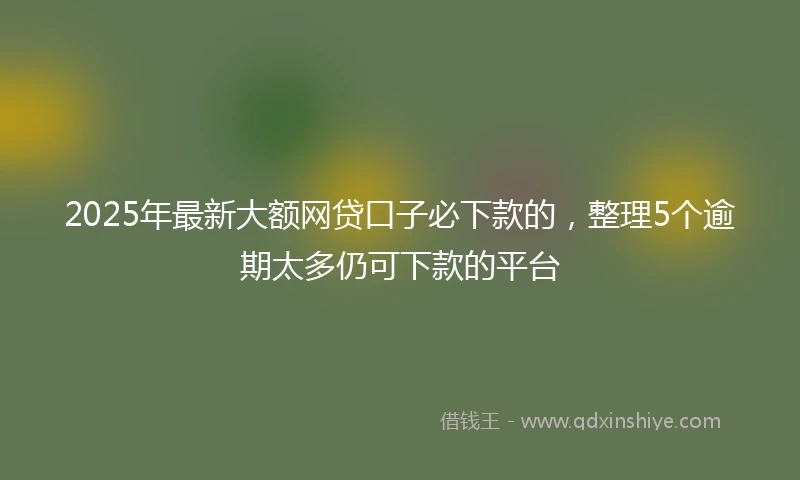 2025年最新大额网贷口子必下款的，整理5个逾期太多仍可下款的平台