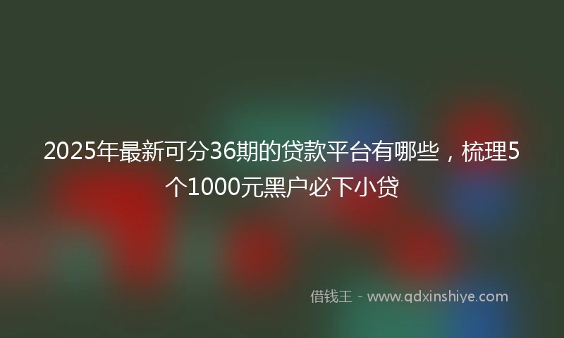 2025年最新可分36期的贷款平台有哪些，梳理5个1000元黑户必下小贷